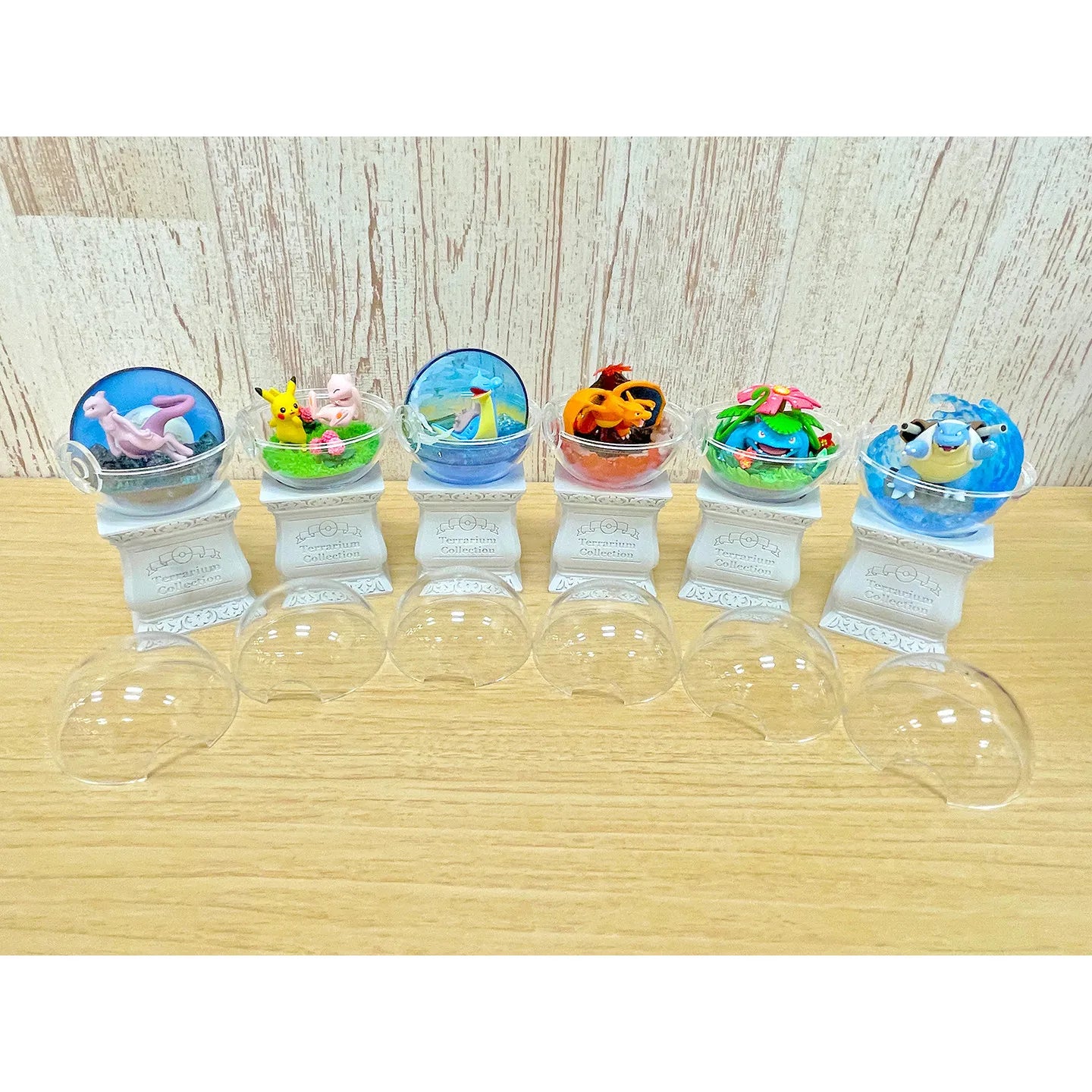 Pokemon Terrarium Collection 15 Mystery Box