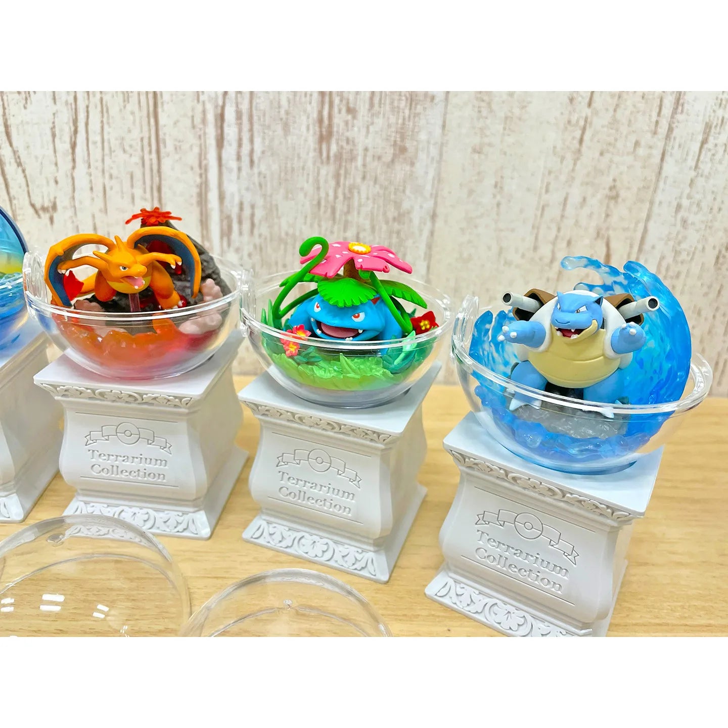 Pokemon Terrarium Collection 15 Mystery Box