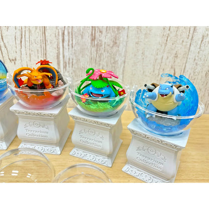 Pokemon Terrarium Collection 15 Mystery Box