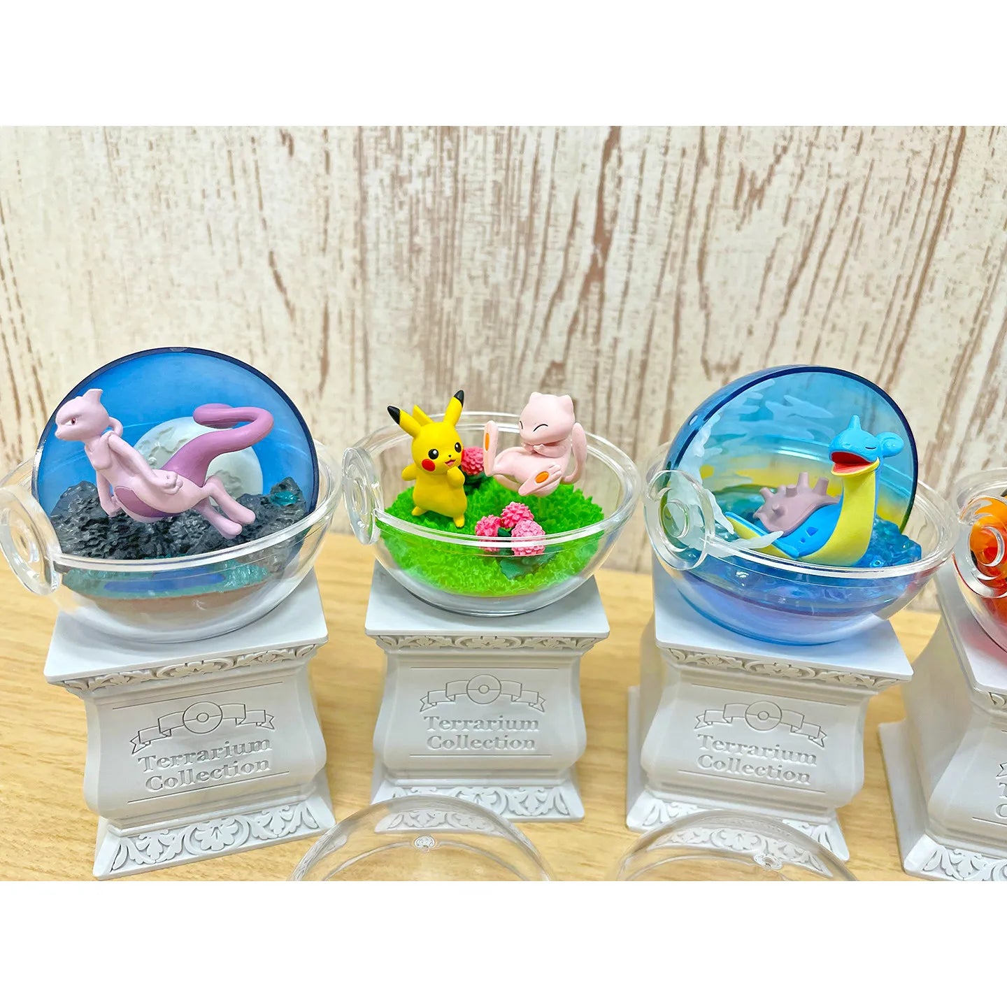 Pokemon Terrarium Collection 15 Mystery Box