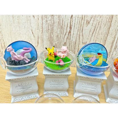 Pokemon Terrarium Collection 15 Mystery Box